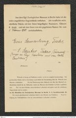 Nachlass Franz Steindachner, Brief und 2 Leihformulare vonP. Pappenheim an Franz Steindachner (25.09.1908), Inv.Nr. 382.05, Seite 5